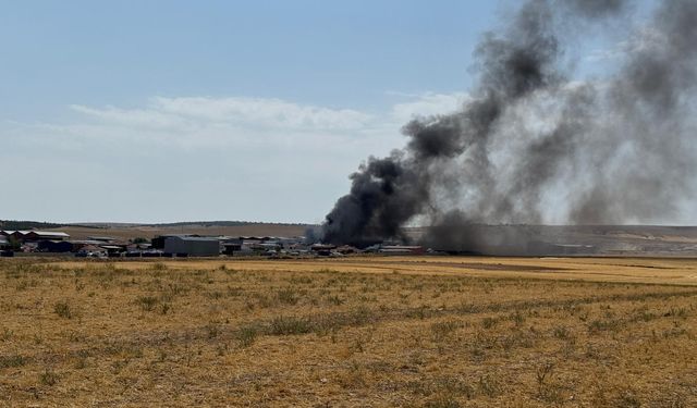 GÜNCELLEME - Eskişehir'de geri dönüşüm tesisinde çıkan yangın kontrol altına alındı