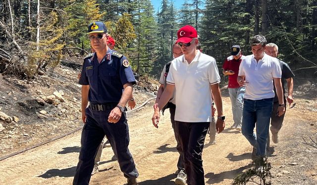 Karaman Valisi Çiçekli, iki ilçede söndürülen orman yangınlarının ardından incelemelerde bulundu