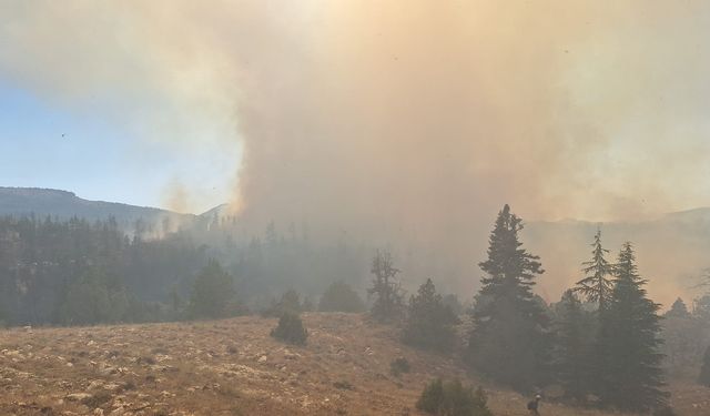 Karaman'da 2 farklı noktada çıkan orman yangınına müdahale ediliyor