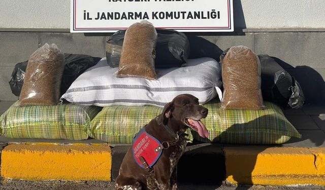 Kayseri'de yolcu otobüsünde 230 kilogram kaçak tütün ele geçirildi
