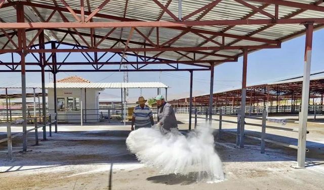 Kırşehir Canlı Hayvan Pazarı'nda ilaçlama ve temizlik çalışması yapıldı