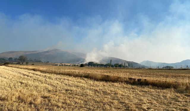 Kırşehir'de merada çıkan yangına müdahale ediliyor