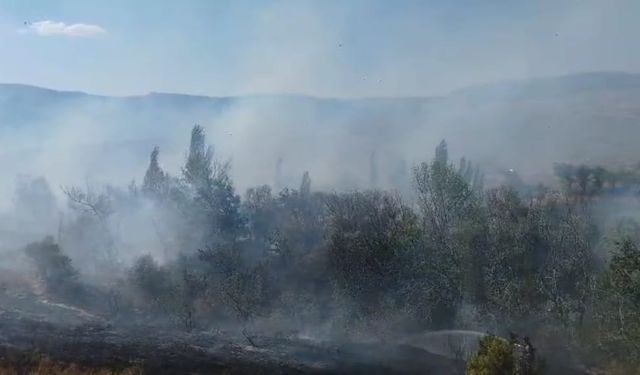 Konya'da arazide çıkan yangın söndürüldü