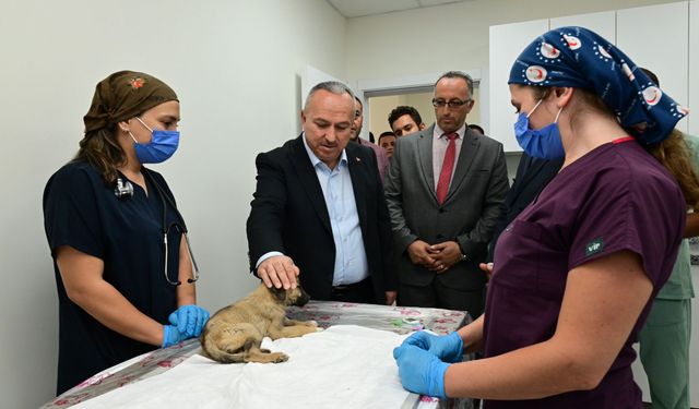 Nevşehir Valisi Fidan'dan hayvan bakımevine ziyaret