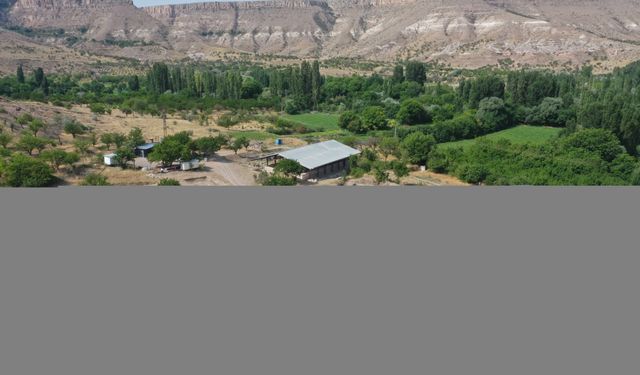 Sobesos Antik Kenti'ndeki kazılar, Kapadokya'nın kentsel tarihine ışık tutacak