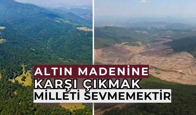Gölge etmeyin devlet, millet kazansın