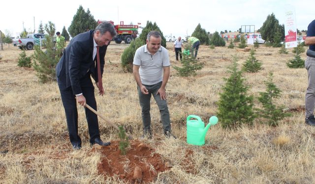 Beyşehir'den kısa kısa