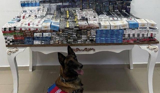 Niğde'de 3 bin 606 paket kaçak sigara ele geçirildi