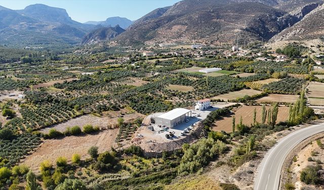 Devlet desteğiyle kurulan zeytinyağı sıkım tesisleri yöre halkına kazanç oldu