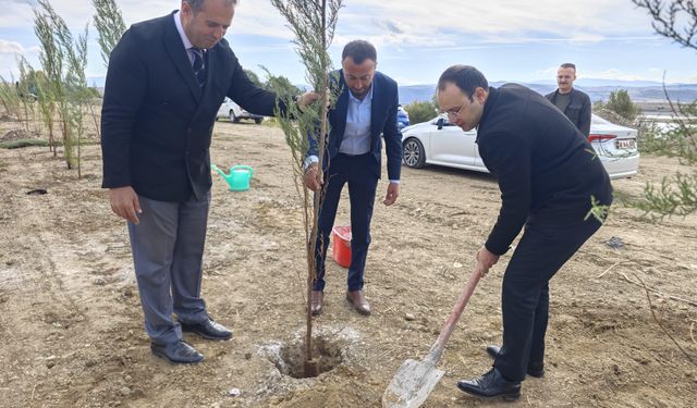 Gölova'da yürüyüş yolu yapılıyor