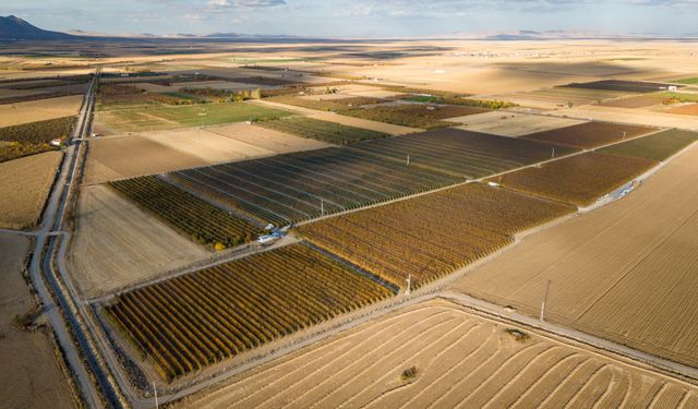 Karaman'da sezonun son elmaları özenle hasat ediliyor