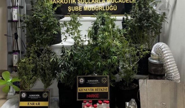 Kırşehir'de kaçakçılık ve narkotik operasyonu