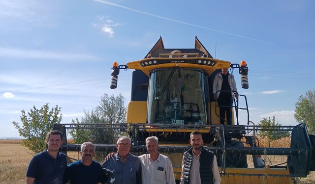 Konya'da endüstriyel kenevirin hasadı başladı