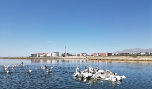 Niğde'deki barajların doluluk oranı kuraklık nedeniyle düştü