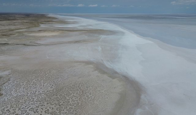 Tuz Gölü'nde yaşanan kuraklık biyolojik çeşitliliği de etkiliyor