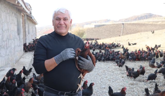 Çocukluk hayalini gerçekleştirmek için memleketine tavuk çiftliği kurdu