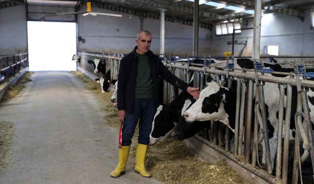 Devlet desteğiyle kurduğu işletmesinde günlük 1 ton süt elde ediyor