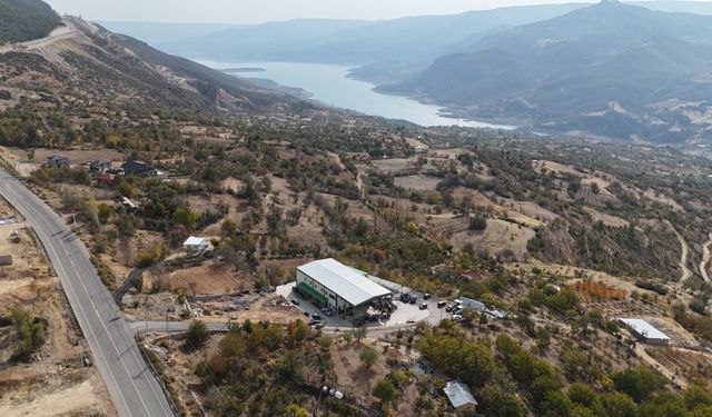 Devlet desteğiyle kurulan zeytinyağı sıkım tesisi yöre halkını üretime teşvik ediyor