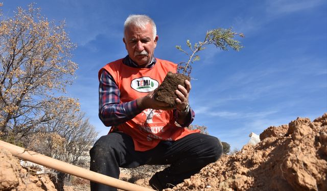 Emekli ormancının 'yeşil hikayesi' doğaya adanan bir ömür oldu