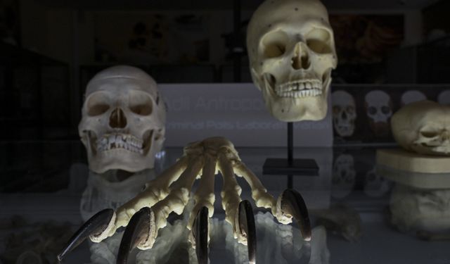 Kayıp yüzlerin arkasındaki faili meçhul cinayetler polis laboratuvarında aydınlatılıyor