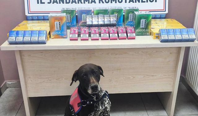 Kayseri'de kaçakçılık operasyonunda 2 şüpheli yakalandı