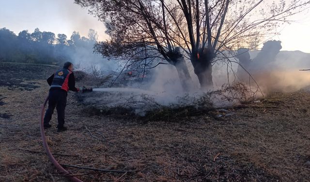 Suşehri'nde çıkan anız yangınında 200 ağaç zarar gördü