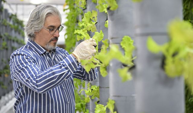 Topraksız dikey tarım uygulamaları enerjide tasarruf ve yüksek verimlilikle geleceğe umut oluyor