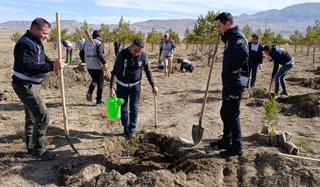 Ulaş ve Gemerek'te Milli Ağaçlandırma Günü'nde fidanlar toprakla buluşturuldu