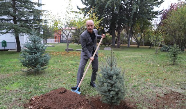 YÖK Başkanı Özvar, Milli Ağaçlandırma Günü dolayısıyla fidan dikti