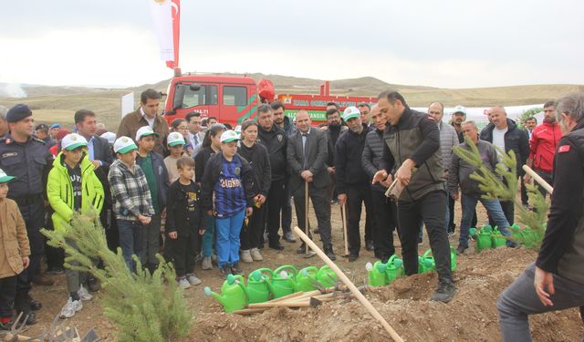 Zara'da Milli Ağaçlandırma Günü'nde fidanlar toprakla buluşturuldu