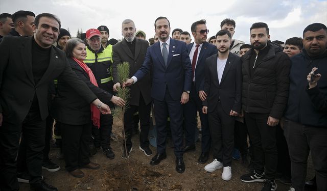 AK Parti tarafından 'Türk Dünyası Hatıra Ormanı' oluşturuldu