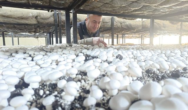 Beyşehir'den kısa kısa