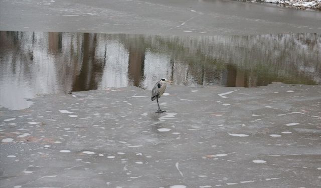 Eskişehir'de kar yağışı etkili oldu