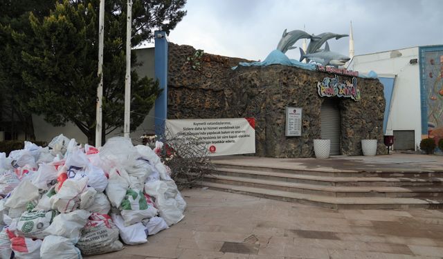 Keçiören Belediyesinin 'Deniz Dünyası' tesisindeki 2 timsahın gut ve diğer hastalıklardan öldüğü belirlendi