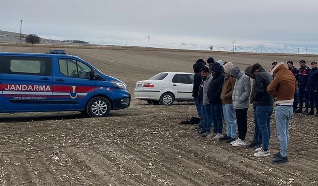 Nevşehir'de köpek dövüştüren 19 kişi hakkında işlem başlatıldı