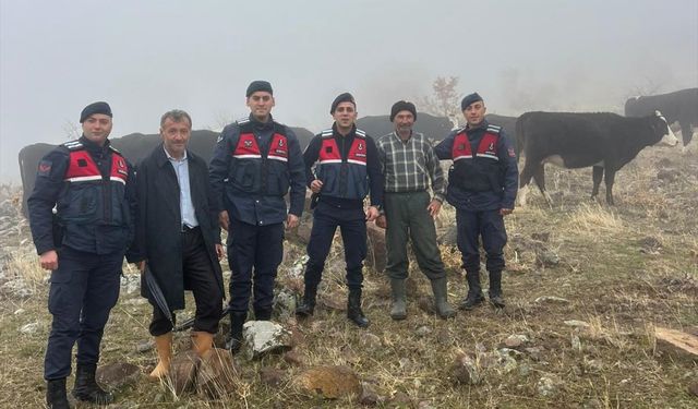 Seydişehir'de kaybolan büyükbaş hayvanlar sahibine teslim edildi