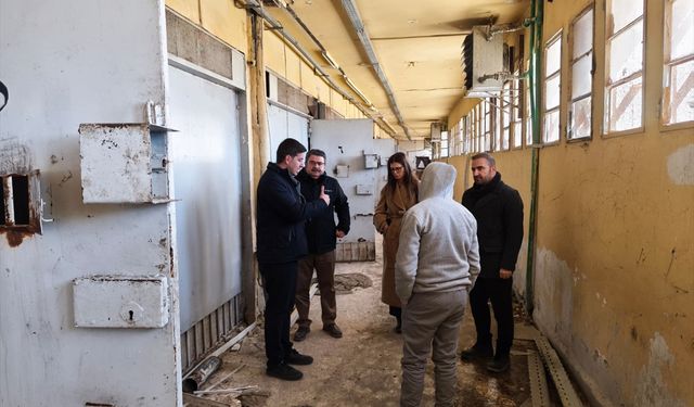 Suriye'de Esed rejiminin insan hakkı ihlalleri somut delillerle ortaya konuldu