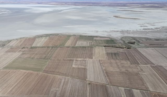 Tamamen kuruyan Seyfe Gölü Kuş Cenneti sessizliğe büründü