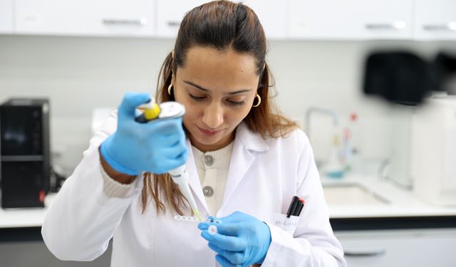 Anadolu'nun kıraç topraklarında verimi artıran 5 çeşit yerli soya tohumu geliştirildi