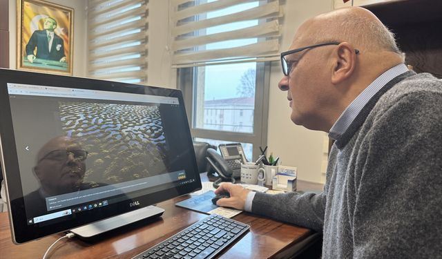 Deniz bilimciler, AA'nın 'Yılın Kareleri' oylamasına katıldı