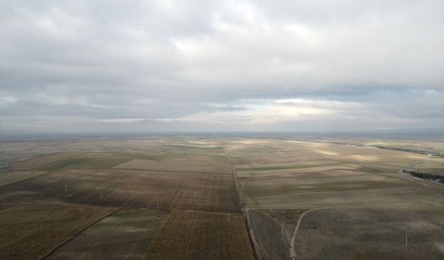 DSİ, Eskişehir ve Kütahya'da toplulaştırma çalışmalarına devam ediyor