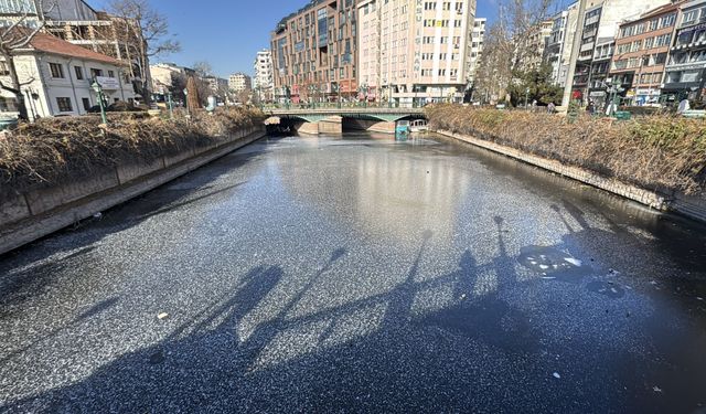 Eskişehir'de güvercinler Porsuk Çayı'nın buz tutan yüzeyinde yiyecek aradı