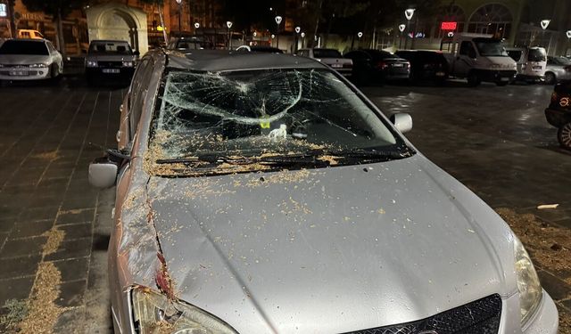 Karaman'da kuvvetli rüzgar ve fırtına etkili oldu