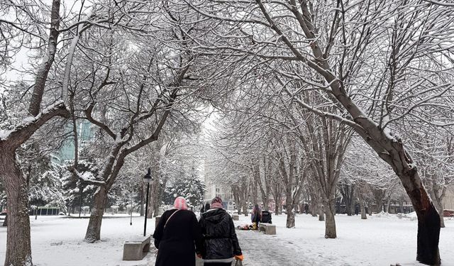 Kayseri'de soğuk hava etkili oluyor