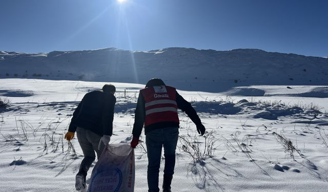 Zara'da yaban hayvanları için doğaya yem bırakıldı