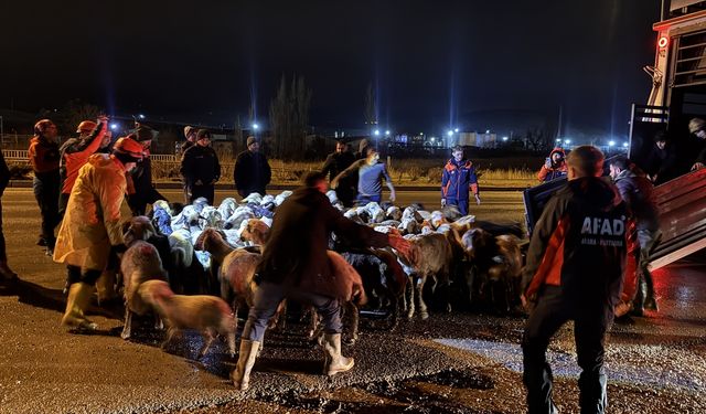 Kayseri'de taşkın riski nedeniyle 200 hayvan tahliye edildi