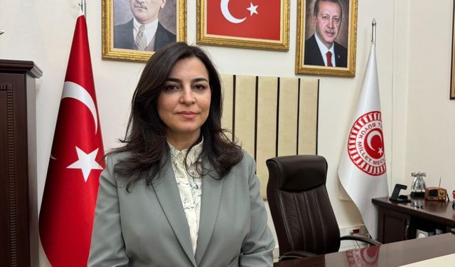 KÜÇÜK YAŞ, BÜYÜK SUÇ - TBMM Suça Sürüklenen Çocuklara İlişkin Araştırma Komisyonu Başkanı Durgut, yol haritalarını AA'ya anlattı: