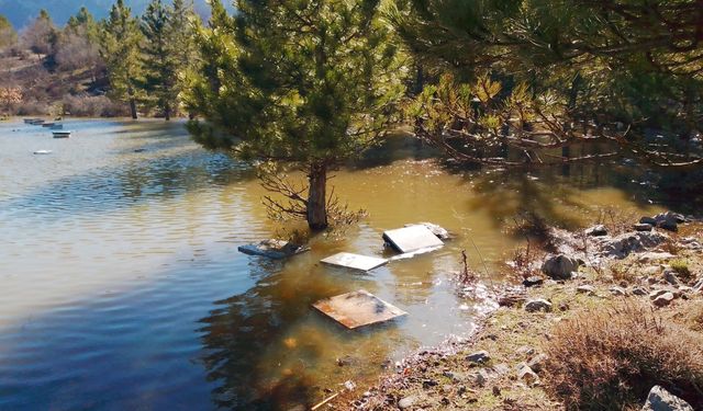Seydişehir'de arı kovanları su altında kaldı