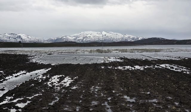 Sivas'ta yüzlerce dönüm tarım arazisi su altında kaldı