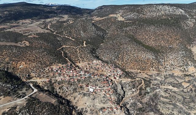 Karaman'da 1931 yaşındaki anıt ağaç asırlara meydan okuyor